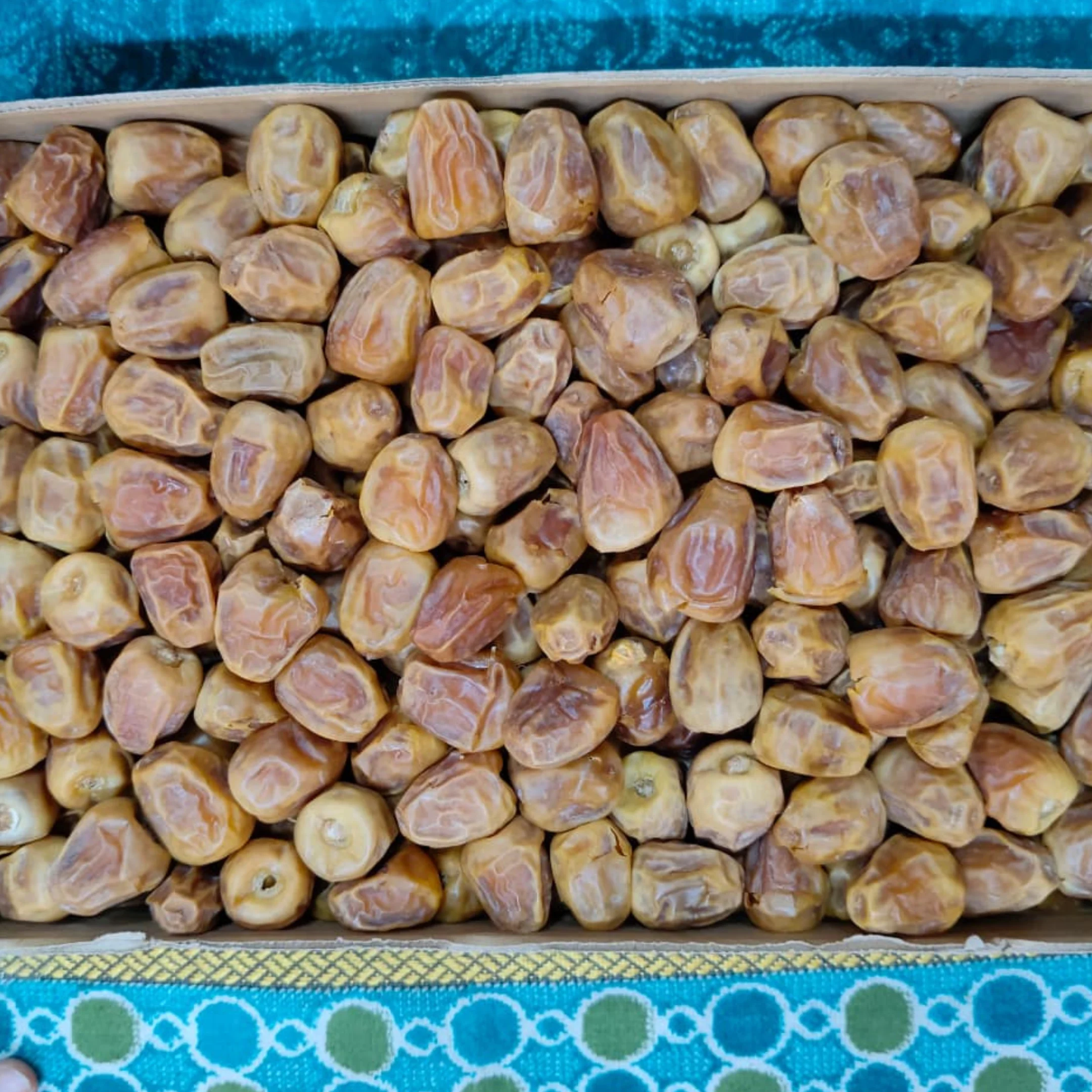 সুক্কারি খেজুর - Sukkari Dates